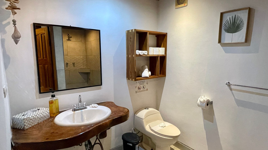 SV2 Baño .jpeg