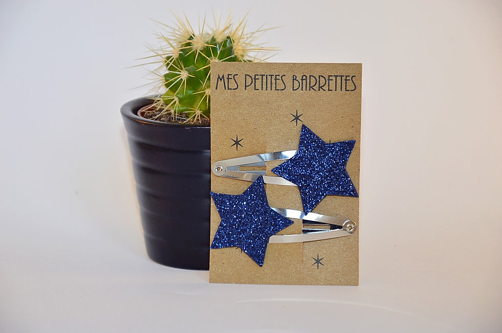 barrettes cheveux étoile marine