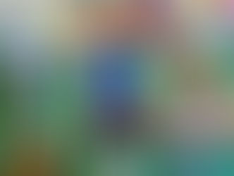 Disney's 'Moana'- themed party