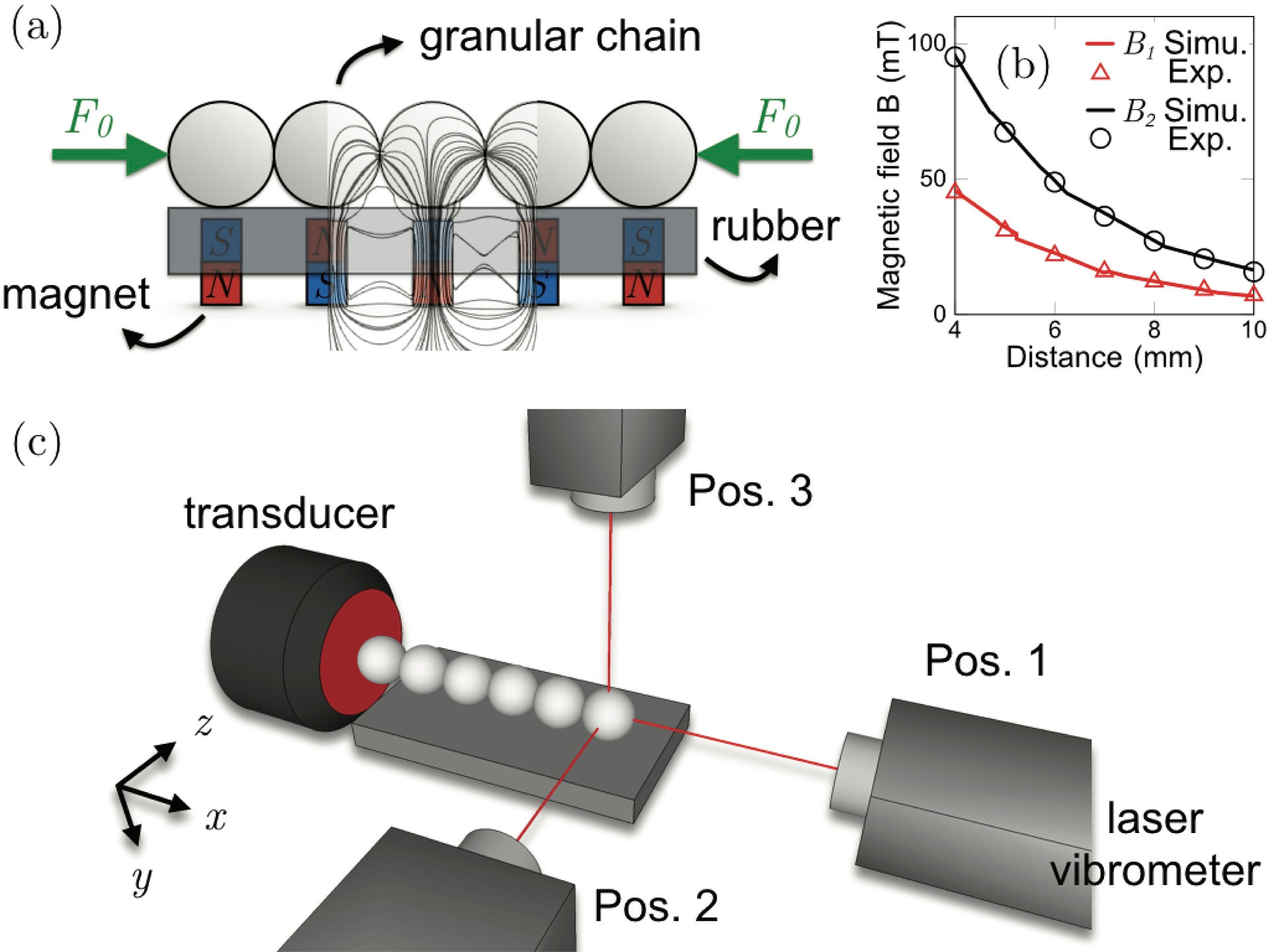 (a) Schematic diagram of the granular chain on top of permanent magnets within a rubber. Forces and magnetic flux lines induced by the magnetic field have been superimposed. (b) Magnetic flux density (mT) vs. distance from the upper surface of the magnets. (c) Schematic diagram of the experimental setup.