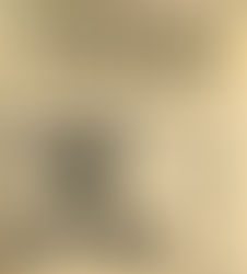 Dred Scott Case: Majority Opinion