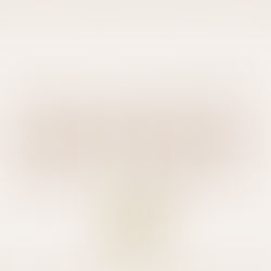 Neujahrsgruß - Wir wünschen ein frohes neues Jahr!