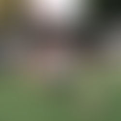 SVG Eintracht Frankfurt Adlertag am 25.05.2026