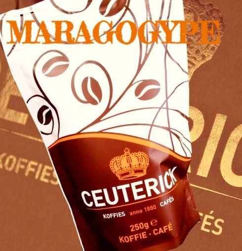 (M) Ceuterick MARAGOGYPE