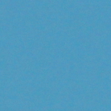 SF 1002
