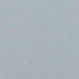 SF 8101