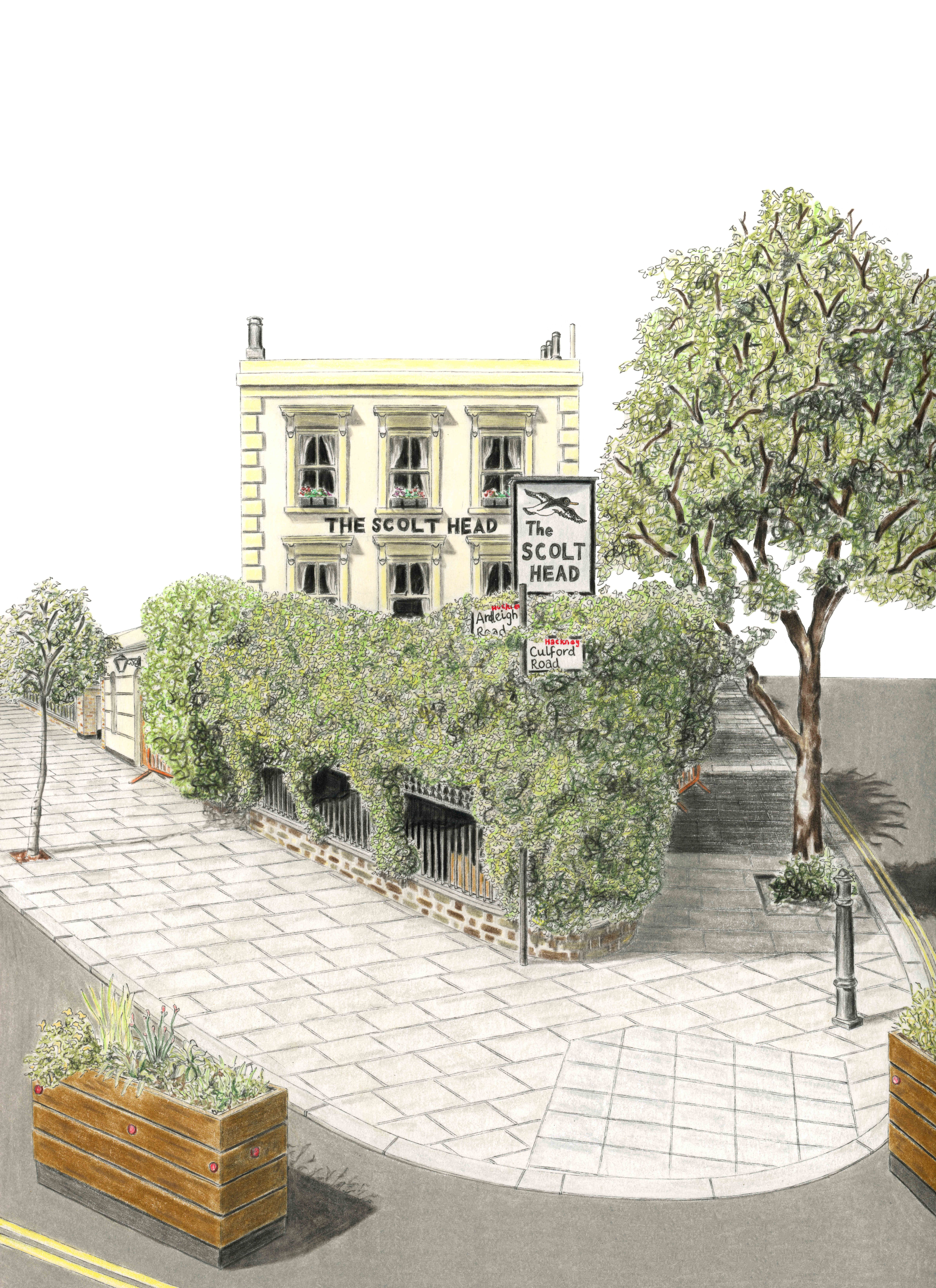 The Scolt Head - June 2023