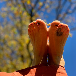 feet in the air