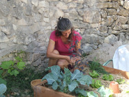 IMG_7746.jpeg