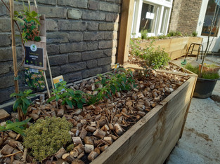 Balcony & Terrace Educative Garden Creation
