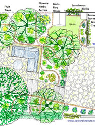 Garden Transformation with Terraces