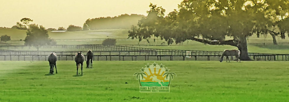 Turnout - Stars 'N Stripes Eventing