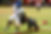 Empty.png