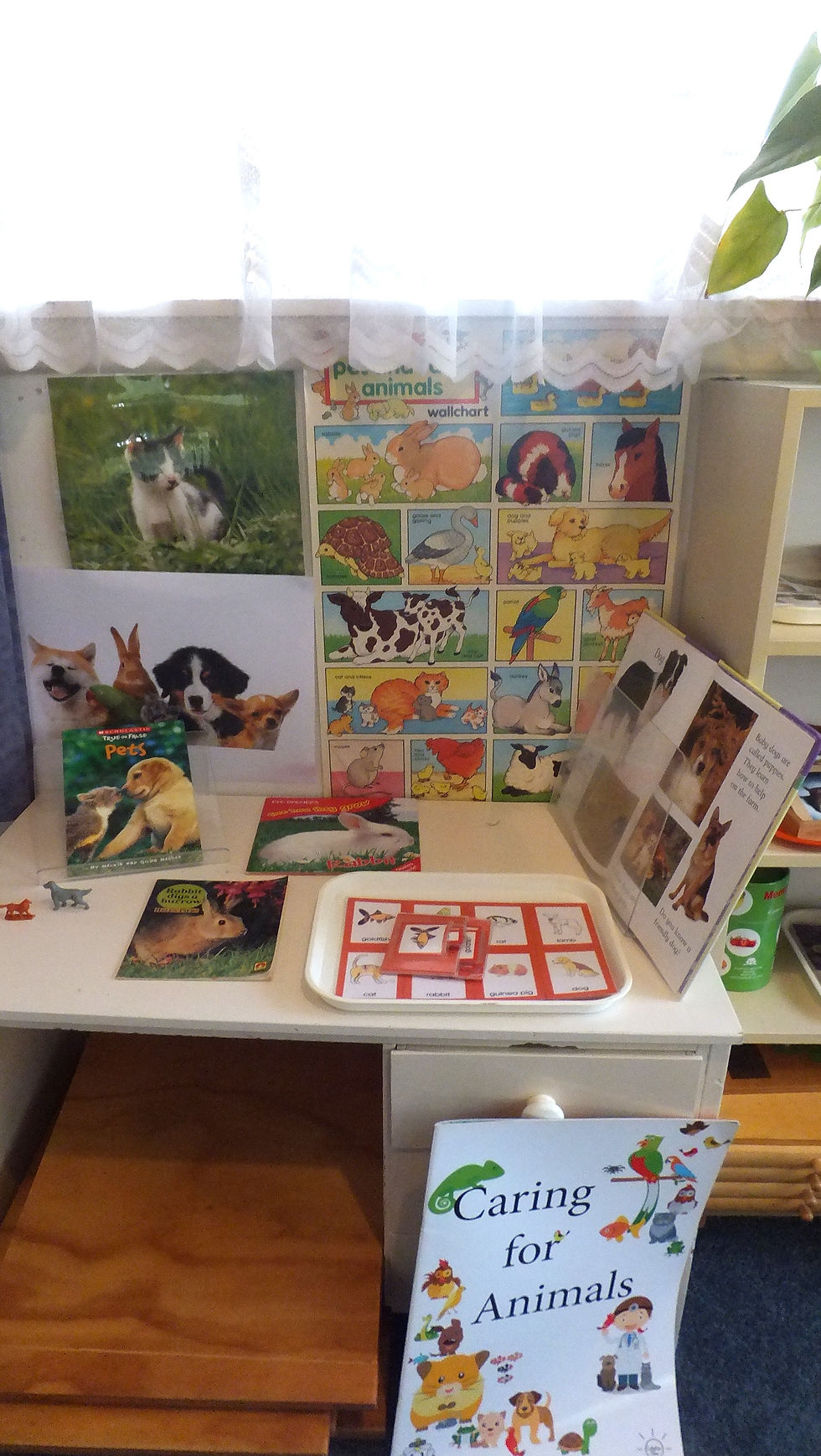 Topic - Our Pets
