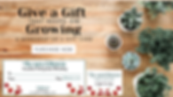 Workshop and Gift Card