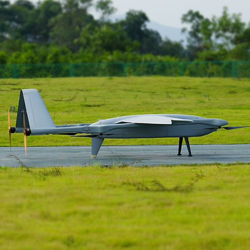 Sky Whale Max Electric (16).jpg