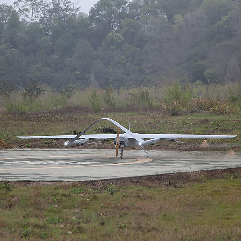 Sky Whale Max Hybird (4).jpg
