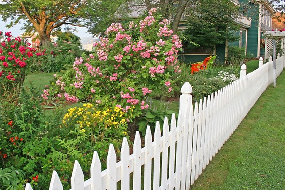 picket fence.jpg
