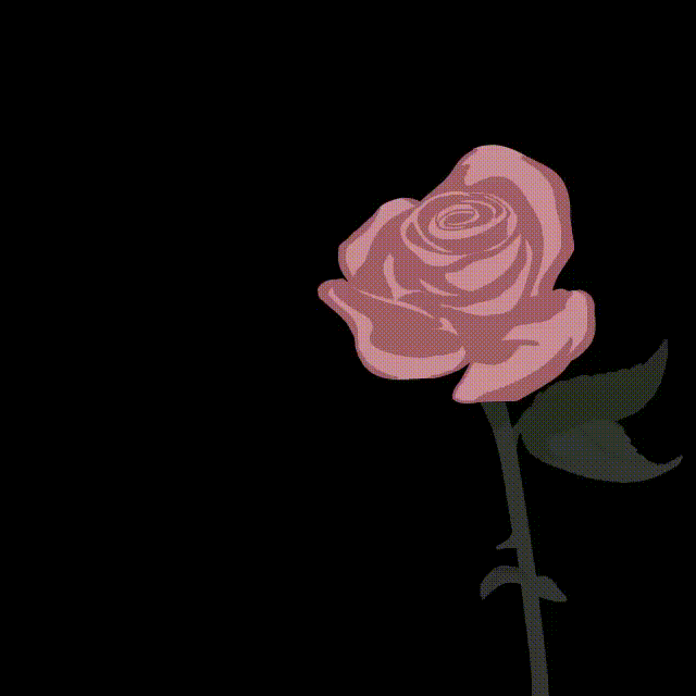 Melting Rose.GIF