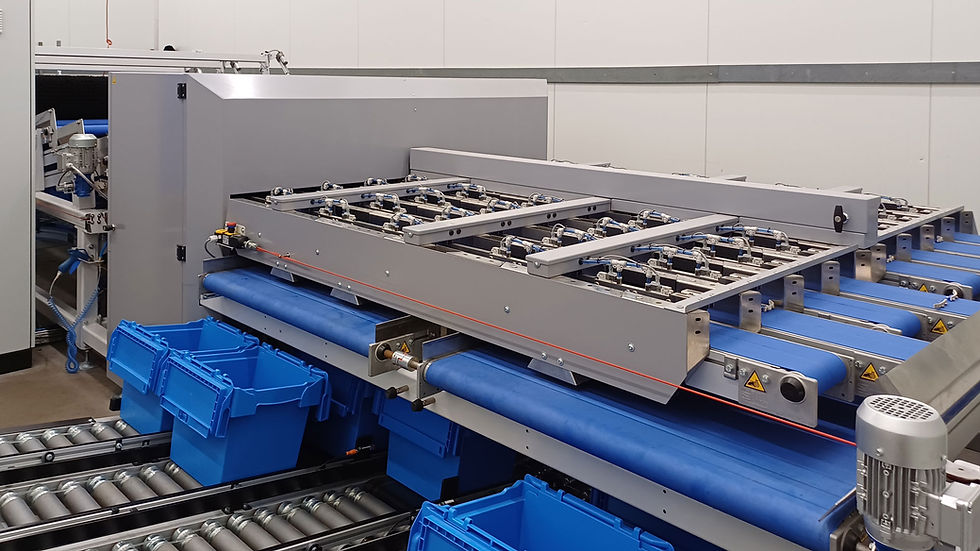 Cutting Sort 650 - stek en verenkel sorteermachine