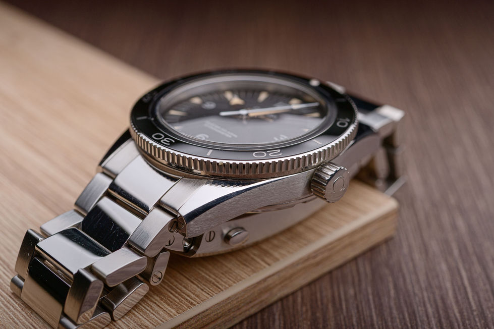 Horlogekast Omega Seamaster 300 Master Co-Axial 41mm 233.30.41.21.01.001