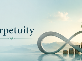 Perpetuity