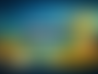 Return on Investment (ROI)