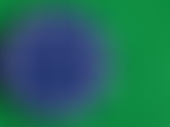 Blue Chip Stock