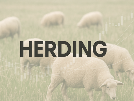 Herding