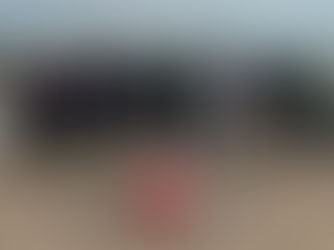 Dryad Team demonstrating Silvaguard to XPrize