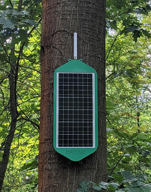 dryad mesh gateway