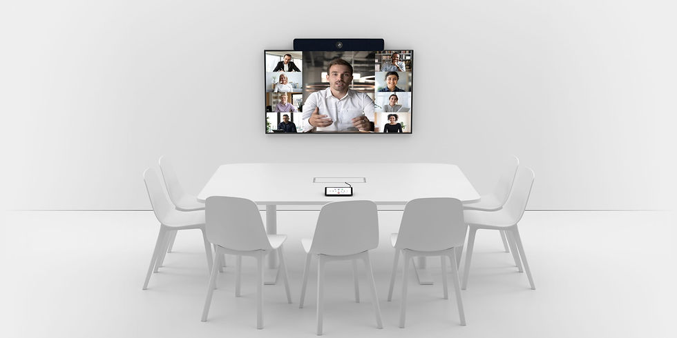 Datalux Video Conference
