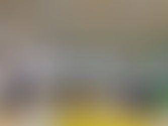 パナソニックパンサーズジュニア練習試合