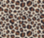 All Over Léopard - Storytelling