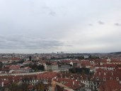img_8942