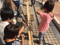 13903188_1885047738376167_1940048586236430020_n