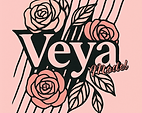 Logo Veya Model