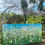 Thumbnail: Original.  Summer Fields no.2