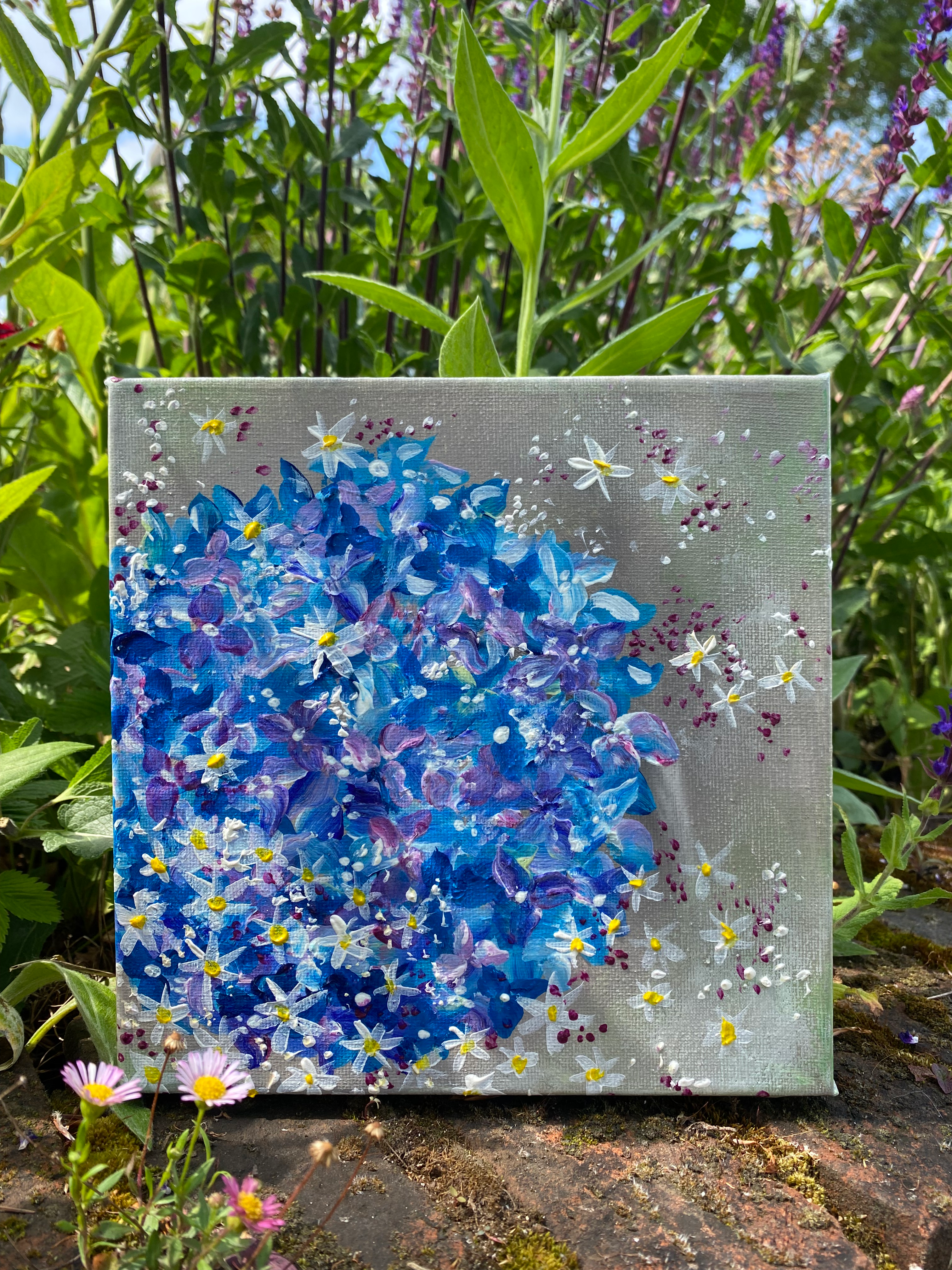 Hydrangea - confetti blue