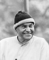 xyz627697317papaji_brown_topi_forest_edi
