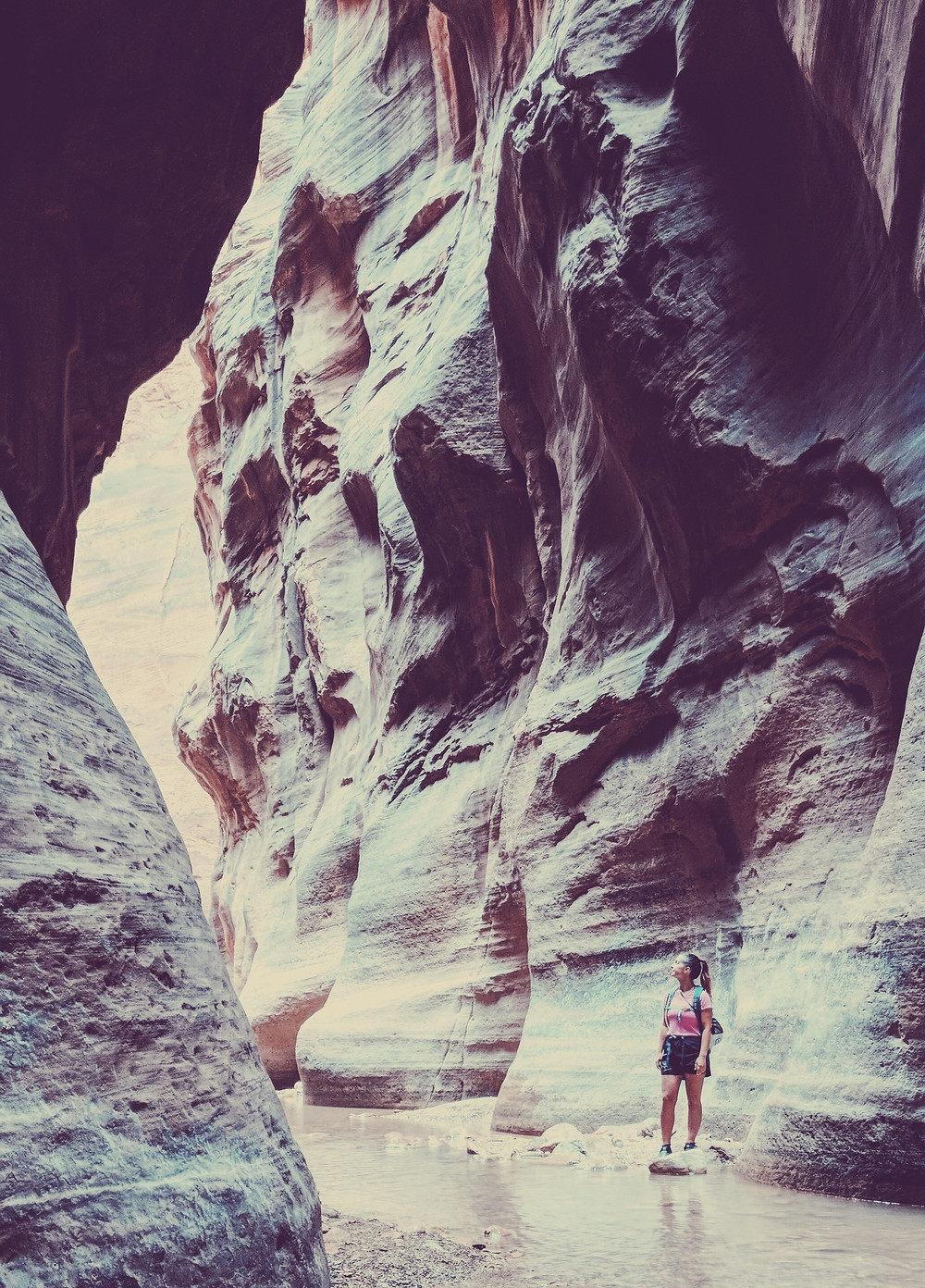Sanding at the base of the Virgin River, staring up at the deep walls of the canyon.