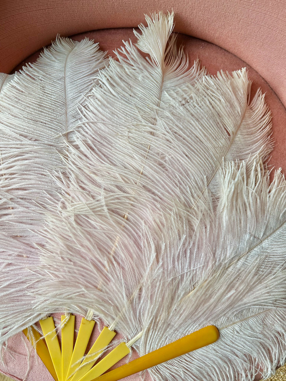 Miniature : Eventail en plumes d'autruche rose poudré c.1920