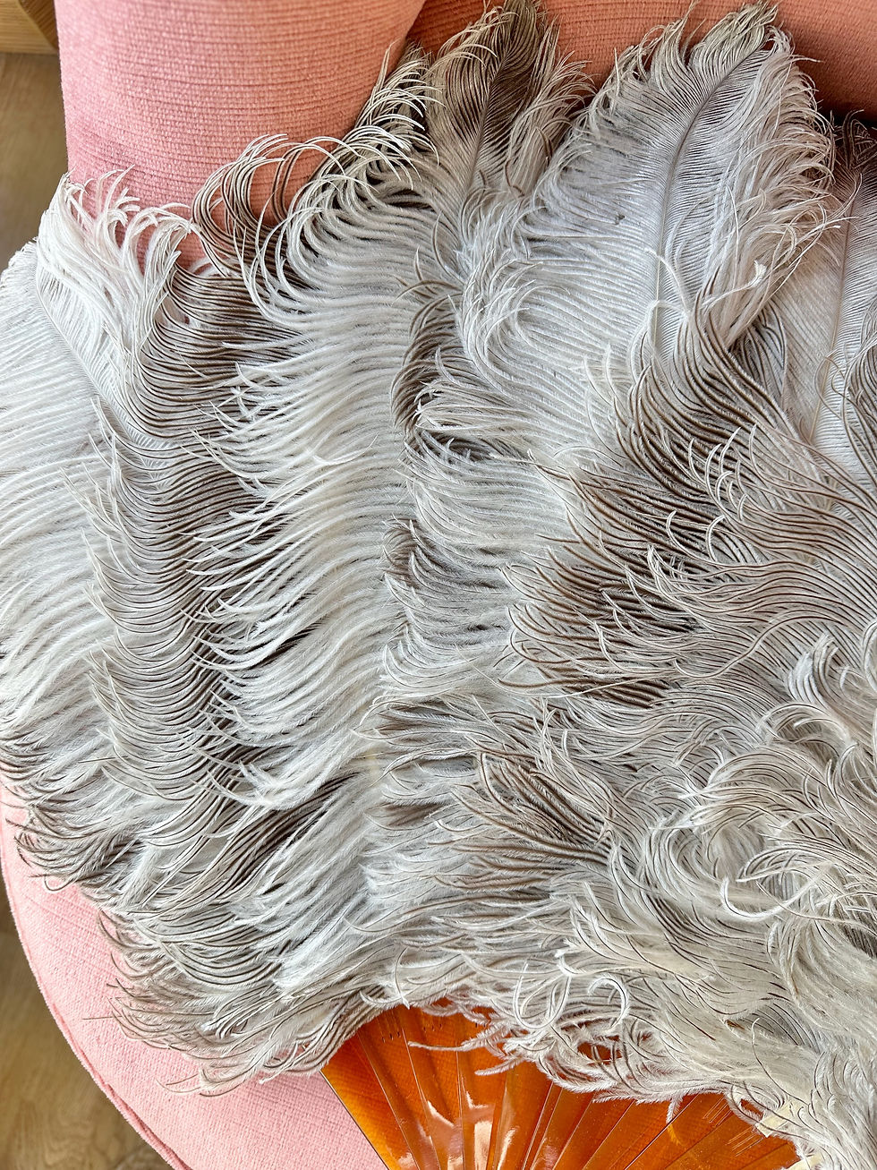 Thumbnail: Eventail en plumes d'autruche c.1930