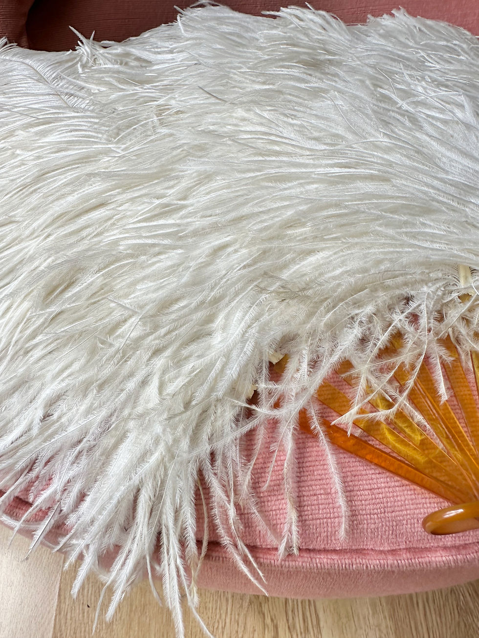 Miniature : Eventail en plumes d'autruche - Début XXème