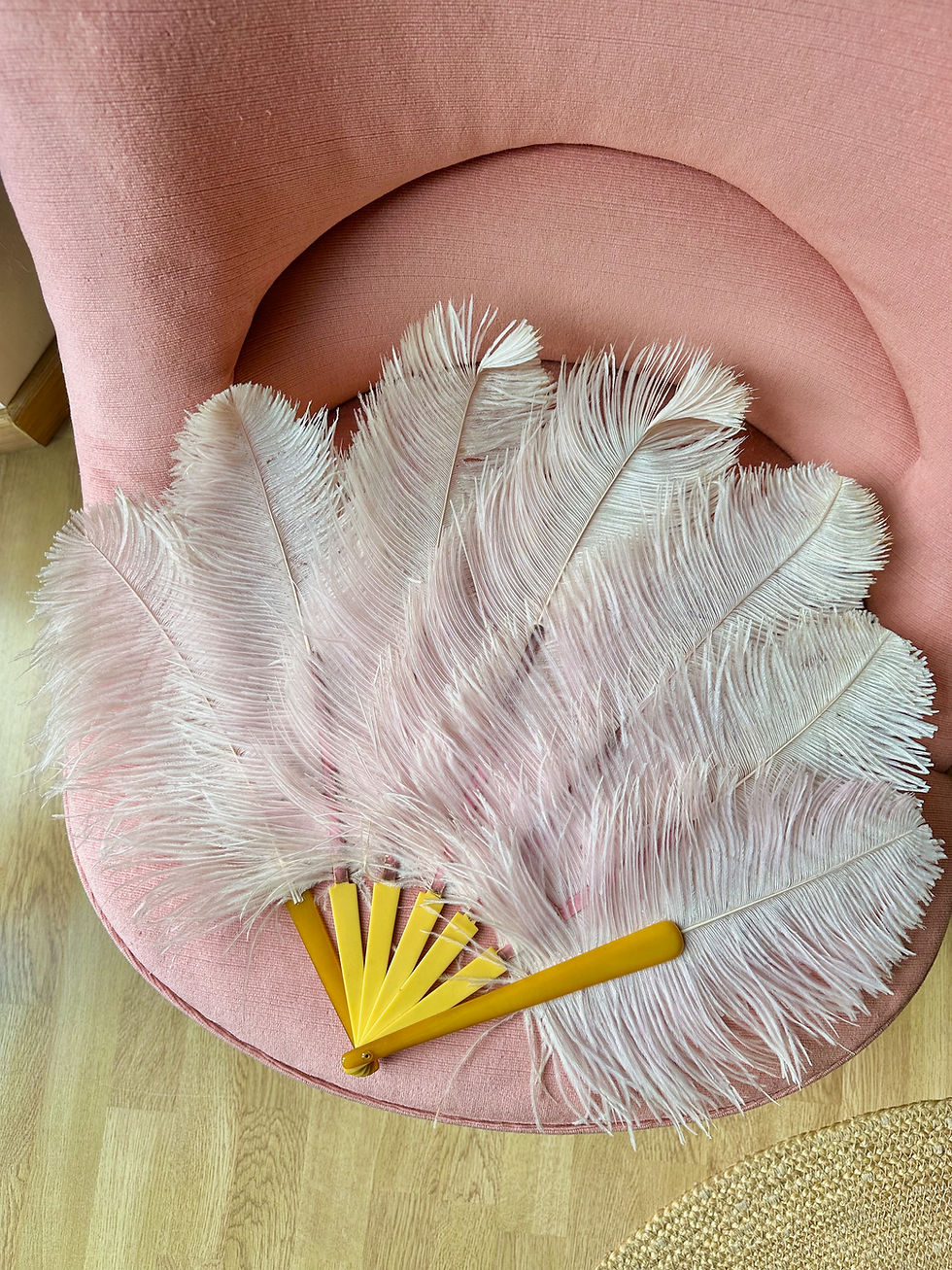 Miniature : Eventail en plumes d'autruche rose poudré c.1920