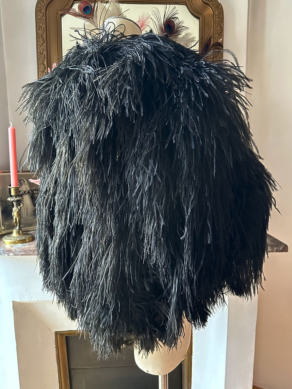 Miniature : RARE ! Cape en plumes d'autruche