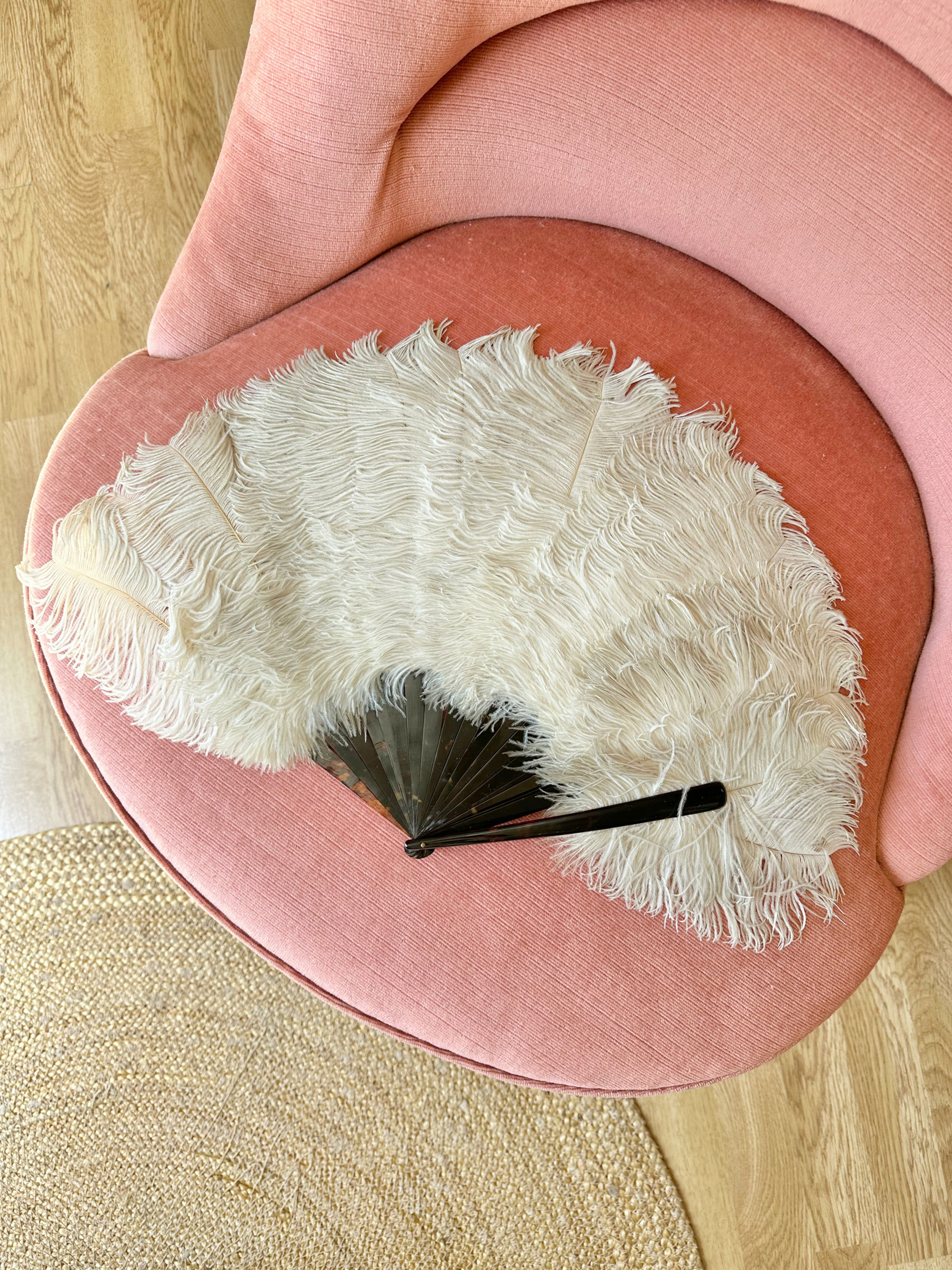 Eventail début XXème - Plumes d'autruche & écaille de tortue