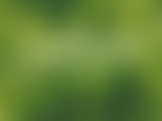 Plant Chicago Online Farmers Market