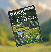 _Touch Grass_ Brutalism Poster.jpg
