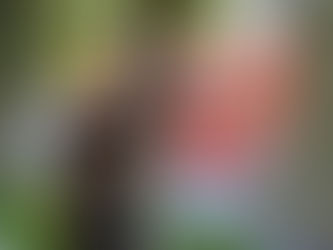 Вітаємо з днем народження!